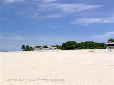 2004 Meedhupparu Malediven,_DSC03454 B_478